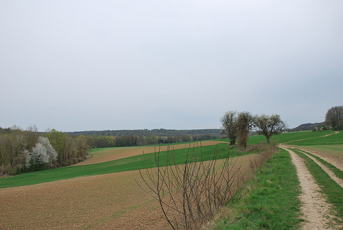 Campagna.jpg