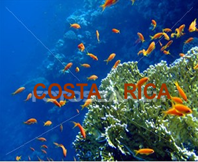 IMMERSIONE_COSTA_RICA.png