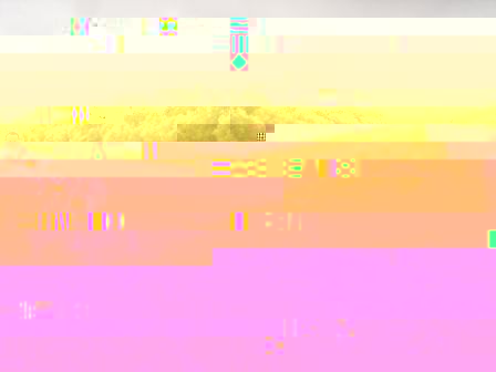 2008 4