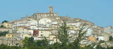 forenza