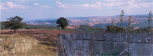 torreta
