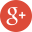 Google+ icon