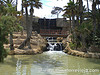 alicante_parco.jpg